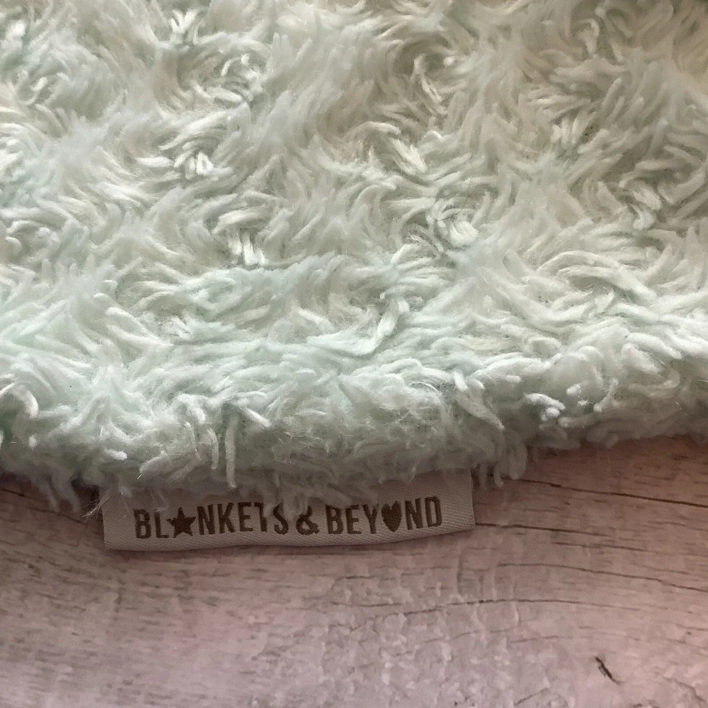 Blankets & Beyond‎ Mint Green Bunny Rabbit Lovey Security Baby Rosettes